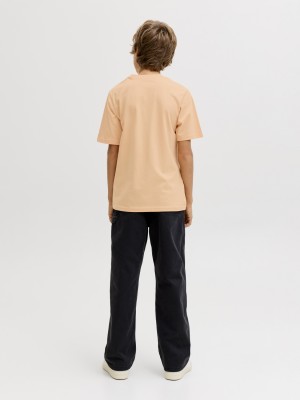 jack en jones boys JJESOHO TEE SS CREW NECK NOOS JNR Beach Sand | Freewear JJESOHO TEE SS CREW NECK NOOS JNR - www.freewear.nl - Freewear
