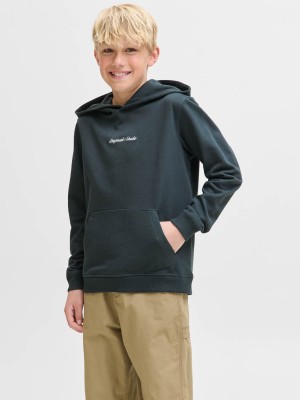 jack en jones boys JORNORREBRO EMB SWEAT HOOD NOOS JNR Forest River | Freewear JORNORREBRO EMB SWEAT HOOD NOOS JNR - www.freewear.nl - Freewear