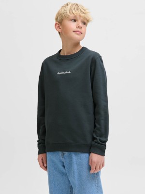 jack en jones boys JORNORREBRO EMB SWEAT CREW NOOS JNR Forest River | Freewear JORNORREBRO EMB SWEAT CREW NOOS JNR - www.freewear.nl - Freewear