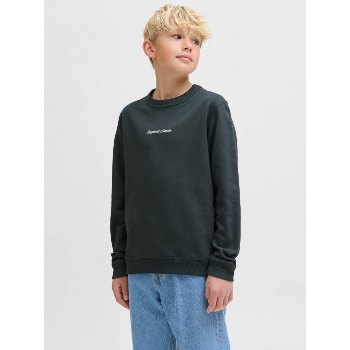 jack en jones boys JORNORREBRO EMB SWEAT CREW NOOS JNR Forest River | Freewear JORNORREBRO EMB SWEAT CREW NOOS JNR - www.freewear.nl - Freewear