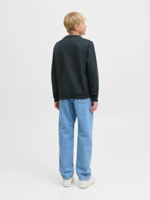 jack en jones boys JORNORREBRO EMB SWEAT CREW NOOS JNR Forest River | Freewear JORNORREBRO EMB SWEAT CREW NOOS JNR - www.freewear.nl - Freewear