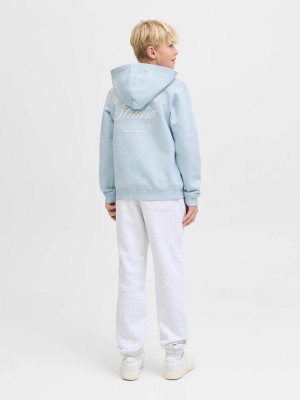 jack en jones boys JORNORREBRO TYPO BACK SWEAT HOOD SN: Skyway | Freewear JORNORREBRO TYPO BACK SWEAT HOOD SN: - www.freewear.nl - Freewear