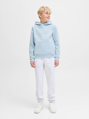 jack en jones boys JORNORREBRO TYPO BACK SWEAT HOOD SN: Skyway | Freewear JORNORREBRO TYPO BACK SWEAT HOOD SN: - www.freewear.nl - Freewear