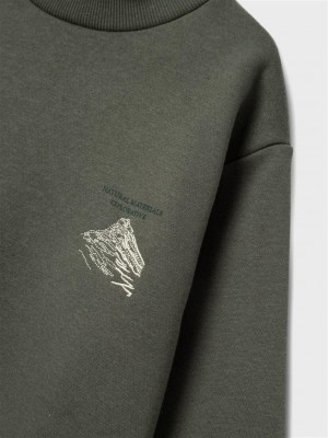 NAME IT KIDS NKMNASKAB LS NREG SWEAT BRU BOX Tea Leaf | Freewear NKMNASKAB LS NREG SWEAT BRU BOX - www.freewear.nl - Freewear