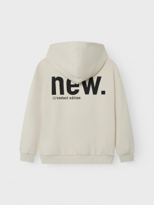 NAME IT KIDS NKMOSVILD LS RLX SWE HOOD BRU BF Birch | Freewear NKMOSVILD LS RLX SWE HOOD BRU BF - www.freewear.nl - Freewear