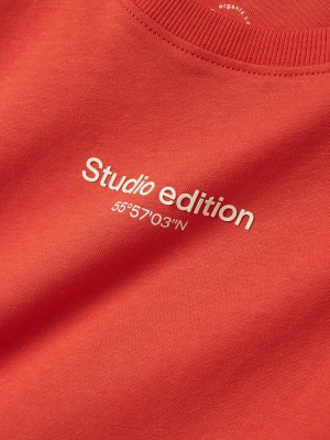 NAME IT KIDS NKMBRODY SS NREG TOP NOOS Paprika/W. JET STREAM PRINT | Freewear NKMBRODY SS NREG TOP NOOS - www.freewear.nl - Freewear