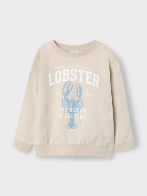 NAME IT MINI NMMFABIAN NREG SWEAT UNB BOX Peyote | Freewear NMMFABIAN NREG SWEAT UNB BOX - www.freewear.nl - Freewear