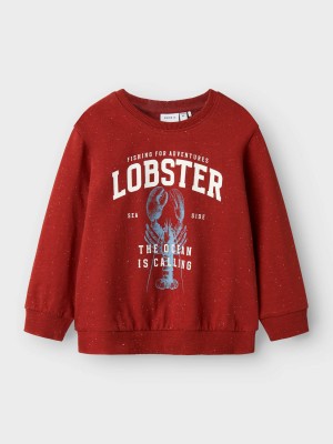 NAME IT MINI NMMFABIAN NREG SWEAT UNB BOX Red Ochre | Freewear NMMFABIAN NREG SWEAT UNB BOX - www.freewear.nl - Freewear