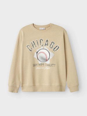 NAME IT KIDS NKMDEMMO LS NREG SWEAT UNB Peyote | Freewear NKMDEMMO LS NREG SWEAT UNB - www.freewear.nl - Freewear