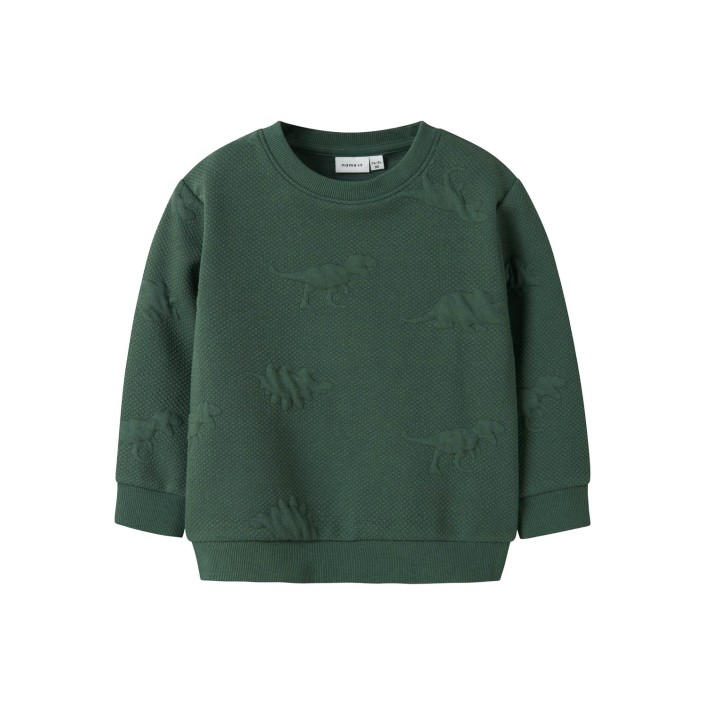 NAME IT MINI NMMNOLAN LS NREG SWEAT UNB Garden Topiary | Freewear NMMNOLAN LS NREG SWEAT UNB - www.freewear.nl - Freewear