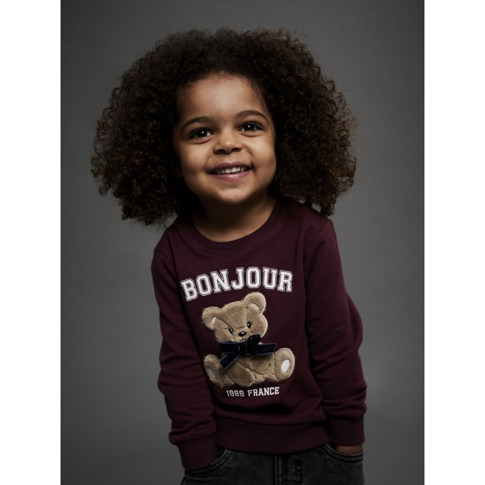 NAME IT MINI NMFREAR LS SWEAT BRU Burgundy | Freewear NMFREAR LS SWEAT BRU - www.freewear.nl - Freewear