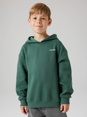 NAME IT KIDS NKMLIAM LS RLX SWE WH BRU Garden Topiary | Freewear NKMLIAM LS RLX SWE WH BRU - www.freewear.nl - Freewear