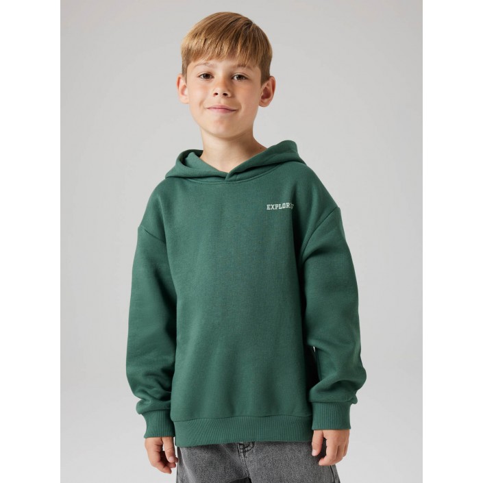 NAME IT KIDS NKMLIAM LS RLX SWE WH BRU Garden Topiary | Freewear NKMLIAM LS RLX SWE WH BRU - www.freewear.nl - Freewear