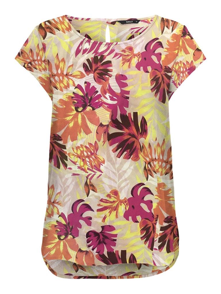T-Shirts Only , Meerkleurig , Dames
