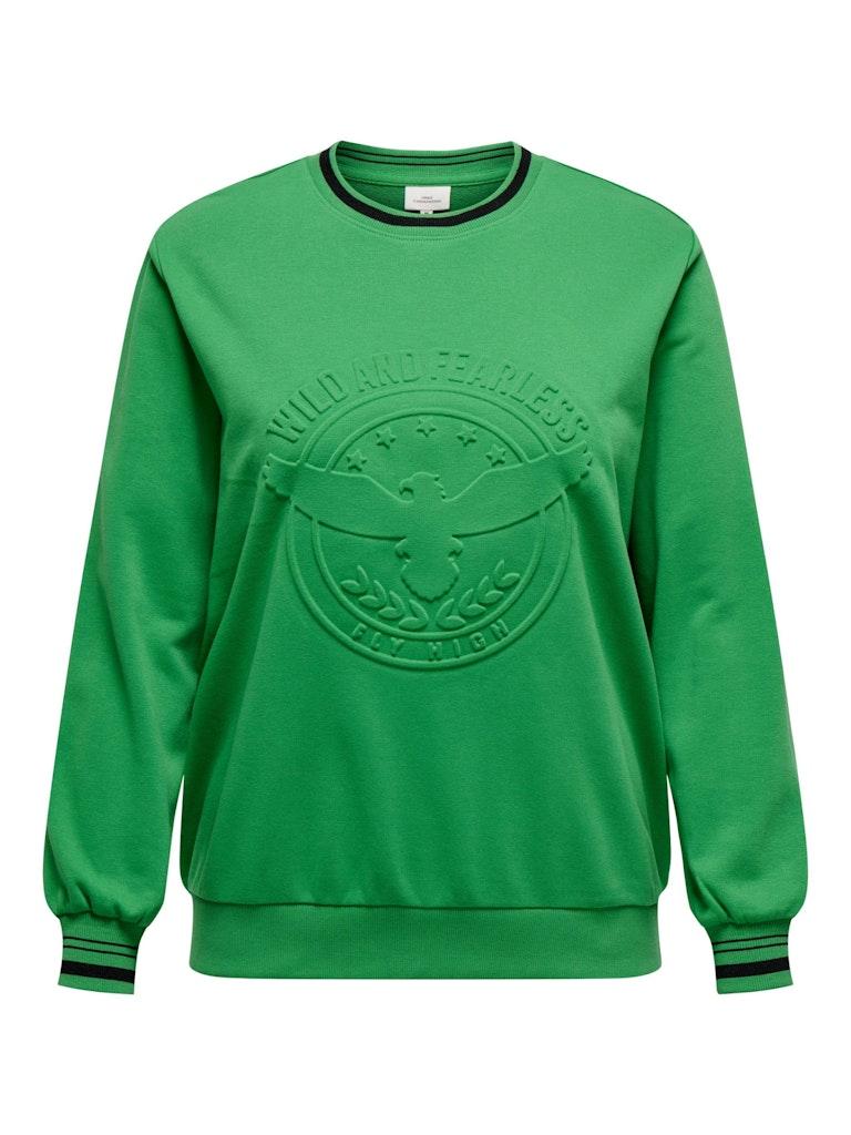 Carmakoma (Maatje Meer) Cargato Life Ls Sweatshirt Jrs