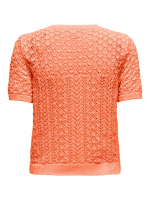Only ONLSAGA LIFE SS O-NECK CC KNT Melon | Freewear ONLSAGA LIFE SS O-NECK CC KNT - www.freewear.nl - Freewear