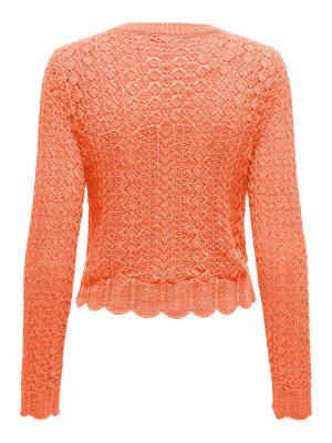 Only ONLSAGA LIFE LS O-NECK CC KNT Melon | Freewear ONLSAGA LIFE LS O-NECK CC KNT - www.freewear.nl - Freewear