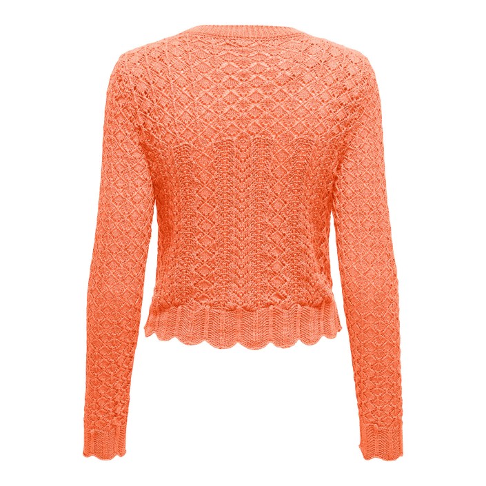 Only ONLSAGA LIFE LS O-NECK CC KNT Melon | Freewear ONLSAGA LIFE LS O-NECK CC KNT - www.freewear.nl - Freewear