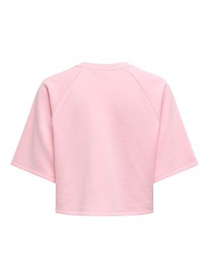 Only ONLCORA S/S PRINT O-NECK UB SWT Roseate Spoonbill/Le marais | Freewear ONLCORA S/S PRINT O-NECK UB SWT - www.freewear.nl - Freewear