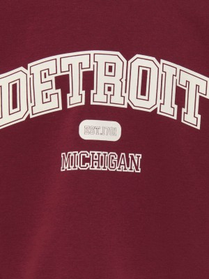 Only KOGVICTORY LIFE L/S O-NECK SWT Cabernet/Detroit/Cloud Dancer | Freewear KOGVICTORY LIFE L/S O-NECK SWT - www.freewear.nl - Freewear