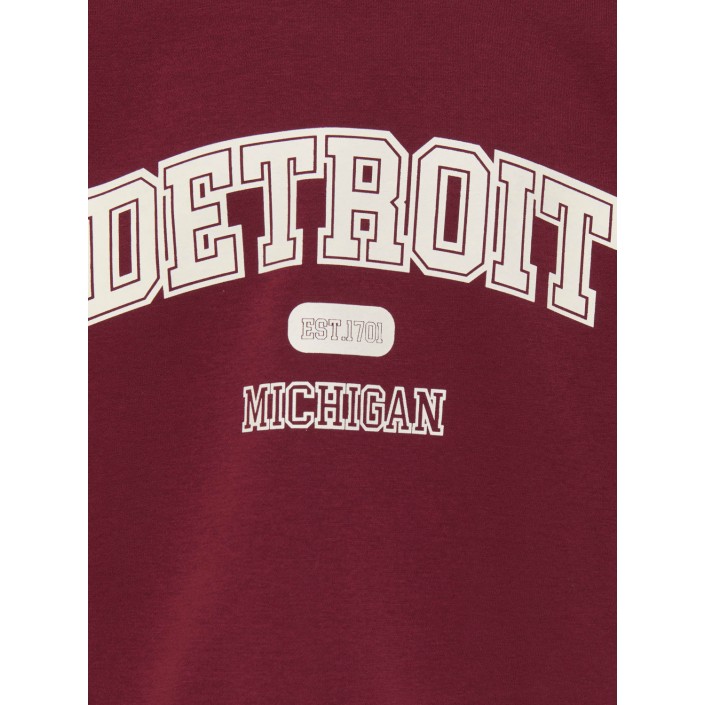 Only KOGVICTORY LIFE L/S O-NECK SWT Cabernet/Detroit/Cloud Dancer | Freewear KOGVICTORY LIFE L/S O-NECK SWT - www.freewear.nl - Freewear