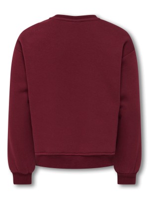 Only KOGVICTORY LIFE L/S O-NECK SWT Cabernet/Detroit/Cloud Dancer | Freewear KOGVICTORY LIFE L/S O-NECK SWT - www.freewear.nl - Freewear