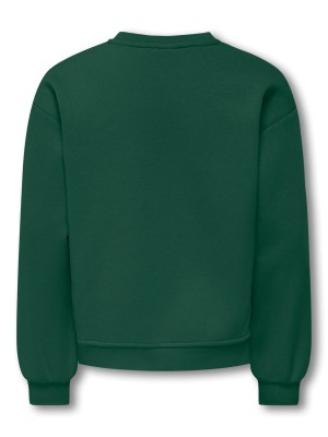 Only KOGVICTORY LIFE L/S O-NECK SWT Pineneedle/London/Cloud Dancer | Freewear KOGVICTORY LIFE L/S O-NECK SWT - www.freewear.nl - Freewear