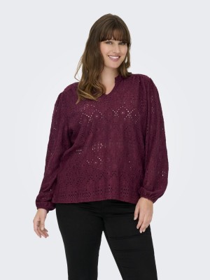 Carmakoma CARLUZIA L/S V-NECK BLOUSE JRS Zinfandel | Freewear CARLUZIA L/S V-NECK BLOUSE JRS - www.freewear.nl - Freewear