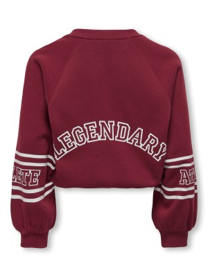 Only KOGCOLETTA L/S V-NECK PRINT SWT Cabernet/Real | Freewear KOGCOLETTA L/S V-NECK PRINT SWT - www.freewear.nl - Freewear