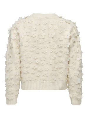 Only ONLHUA LIFE LS FLOW DETAIL O-NEC CS: Birch/Dtm Mesh Flowers | Freewear ONLHUA LIFE LS FLOW DETAIL O-NEC CS: - www.freewear.nl - Freewear
