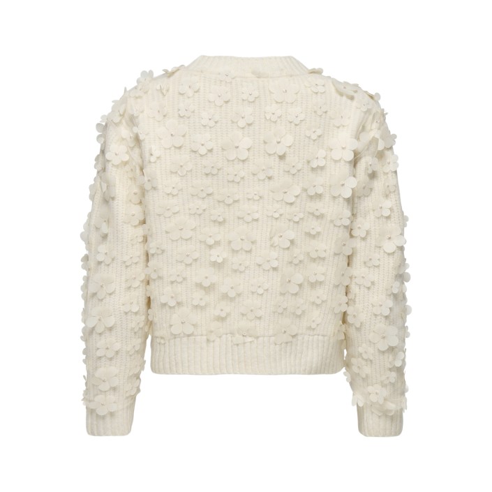 Only ONLHUA LIFE LS FLOW DETAIL O-NEC CS: Birch/Dtm Mesh Flowers | Freewear ONLHUA LIFE LS FLOW DETAIL O-NEC CS: - www.freewear.nl - Freewear