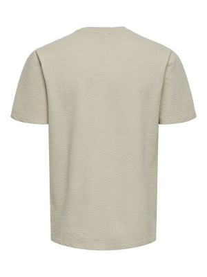 ONLY&SONS ONSKIAN LIFE REG SEERSUCKER SS TEE : Silver Lining | Freewear ONSKIAN LIFE REG SEERSUCKER SS TEE : - www.freewear.nl - Freewear