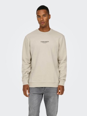 ONLY&SONS ONSCURATED REG CREW NECK SWEAT NOOS Silver Lining | Freewear ONSCURATED REG CREW NECK SWEAT NOOS - www.freewear.nl - Freewear