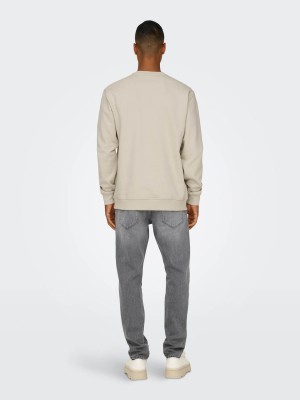 ONLY&SONS ONSCURATED REG CREW NECK SWEAT NOOS Silver Lining | Freewear ONSCURATED REG CREW NECK SWEAT NOOS - www.freewear.nl - Freewear