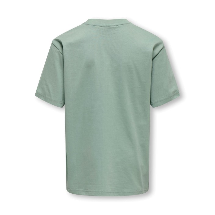ONLY&SONS OSJFRED LIFE RLX SS TEE JRS NOOS Chinois Green | Freewear OSJFRED LIFE RLX SS TEE JRS NOOS - www.freewear.nl - Freewear