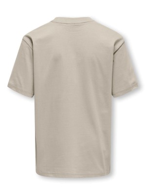 ONLY&SONS OSJFRED LIFE RLX SS TEE JRS NOOS Silver Lining | Freewear OSJFRED LIFE RLX SS TEE JRS NOOS - www.freewear.nl - Freewear