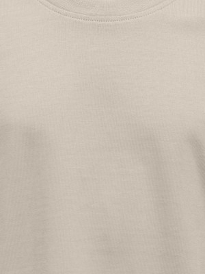 ONLY&SONS OSJFRED LIFE RLX SS TEE JRS NOOS Silver Lining | Freewear OSJFRED LIFE RLX SS TEE JRS NOOS - www.freewear.nl - Freewear