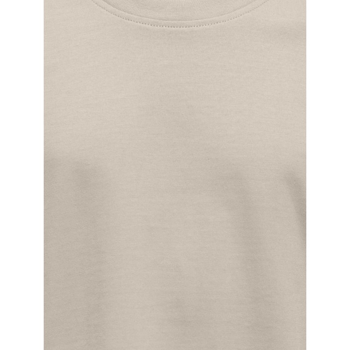ONLY&SONS OSJFRED LIFE RLX SS TEE JRS NOOS Silver Lining | Freewear OSJFRED LIFE RLX SS TEE JRS NOOS - www.freewear.nl - Freewear