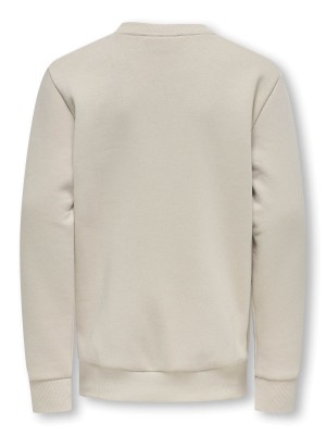 ONLY&SONS OSJCERES CREW NECK SWT NOOS Silver Lining | Freewear OSJCERES CREW NECK SWT NOOS - www.freewear.nl - Freewear