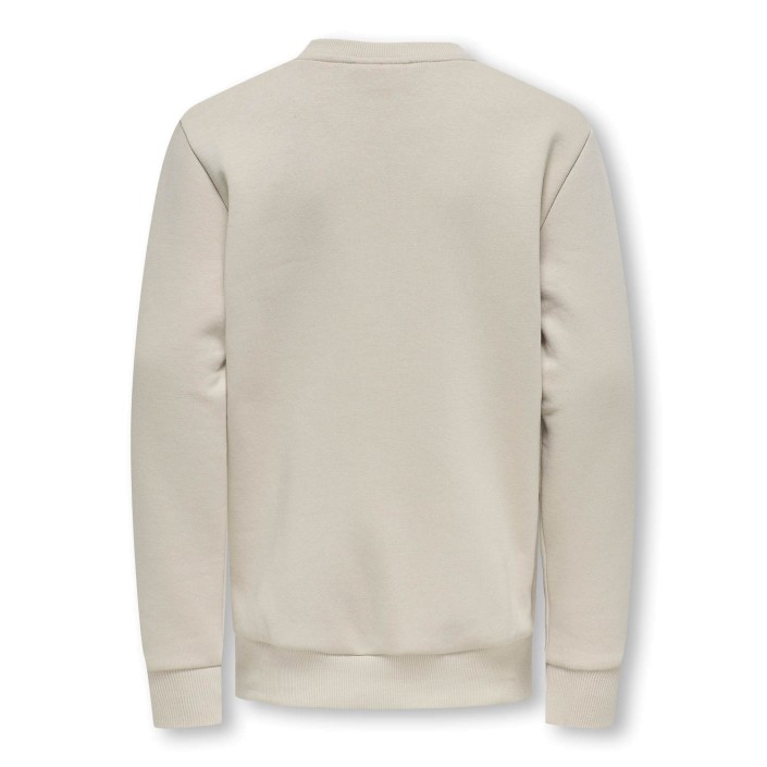 ONLY&SONS OSJCERES CREW NECK SWT NOOS Silver Lining | Freewear OSJCERES CREW NECK SWT NOOS - www.freewear.nl - Freewear
