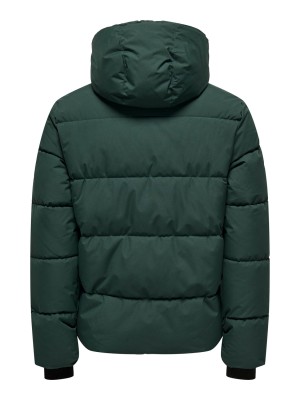ONLY&SONS OSJELIJAH PCKT. HOOD JACKET OTW NOO: Darkest Spruce | Freewear OSJELIJAH PCKT. HOOD JACKET OTW NOO: - www.freewear.nl - Freewear