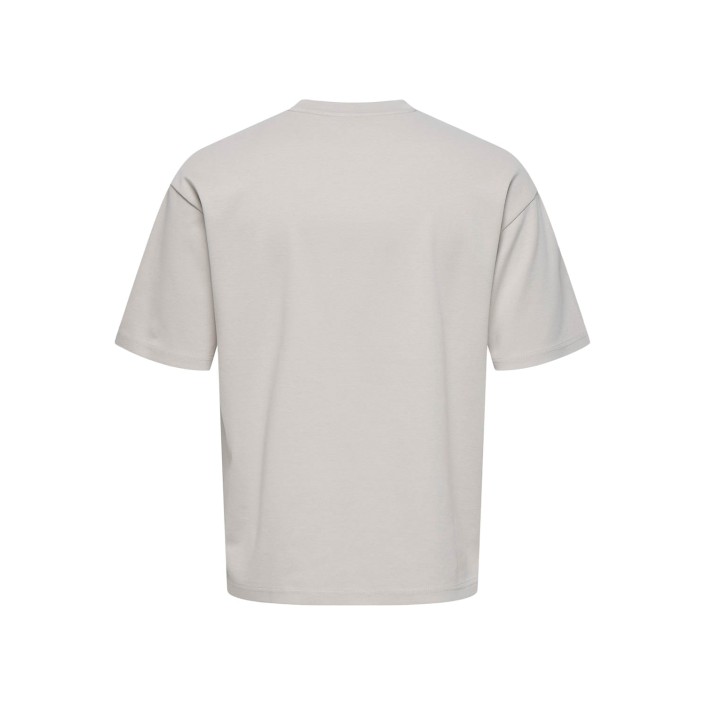 ONLY&SONS ONSLES CLASSIQUES CASPIAN SS TEE Silver Lining | Freewear ONSLES CLASSIQUES CASPIAN SS TEE - www.freewear.nl - Freewear