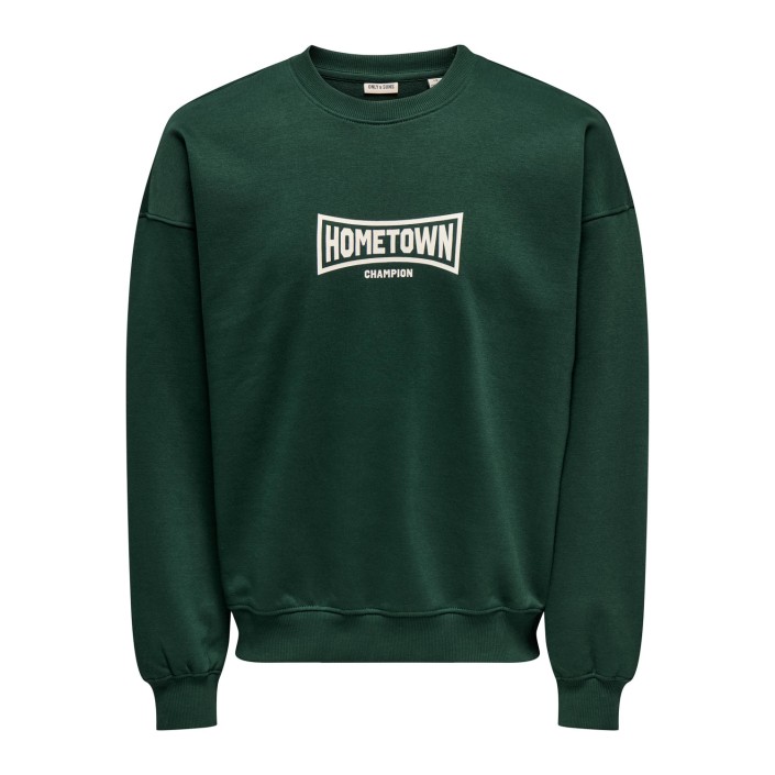 ONLY&SONS ONSTURNER VARSITY VTG CREW NECK SWE: Pine Grove/HOME TOWN | Freewear ONSTURNER VARSITY VTG CREW NECK SWE: - www.freewear.nl - Freewear