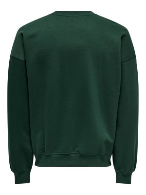 ONLY&SONS ONSTURNER VARSITY VTG CREW NECK SWE: Pine Grove/HOME TOWN | Freewear ONSTURNER VARSITY VTG CREW NECK SWE: - www.freewear.nl - Freewear