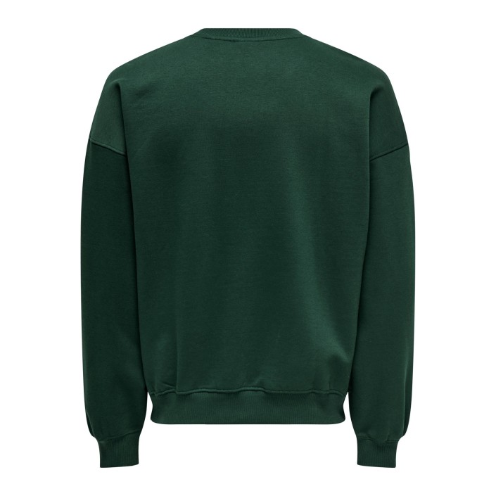 ONLY&SONS ONSTURNER VARSITY VTG CREW NECK SWE: Pine Grove/HOME TOWN | Freewear ONSTURNER VARSITY VTG CREW NECK SWE: - www.freewear.nl - Freewear