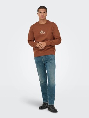 ONLY&SONS ONSCONNOR SIMPLE LIFE REG LS CREW S: Sequoia/REDWOOD CO | Freewear ONSCONNOR SIMPLE LIFE REG LS CREW S: - www.freewear.nl - Freewear