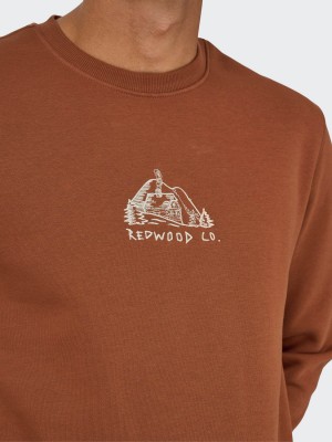 ONLY&SONS ONSCONNOR SIMPLE LIFE REG LS CREW S: Sequoia/REDWOOD CO | Freewear ONSCONNOR SIMPLE LIFE REG LS CREW S: - www.freewear.nl - Freewear