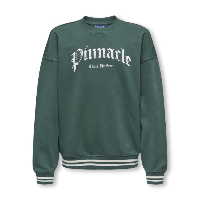 ONLY&SONS OSJCONNOR OVZ ART VTG LS CREW SWT Trekking Green/PINNACLE | Freewear OSJCONNOR OVZ ART VTG LS CREW SWT - www.freewear.nl - Freewear