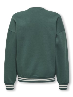 ONLY&SONS OSJCONNOR OVZ ART VTG LS CREW SWT Trekking Green/PINNACLE | Freewear OSJCONNOR OVZ ART VTG LS CREW SWT - www.freewear.nl - Freewear