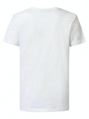 Petrol Industries Boys T-Shirt SS Round Neck Bright White | Freewear Boys T-Shirt SS Round Neck - www.freewear.nl - Freewear